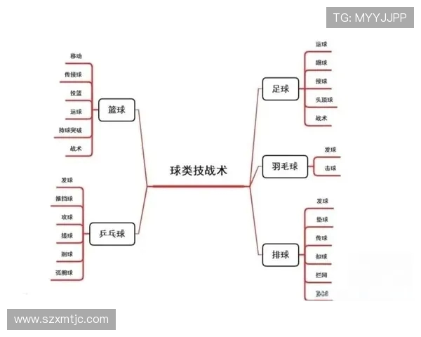 武汉篮球队灵活性分析与战术适应性研究探讨