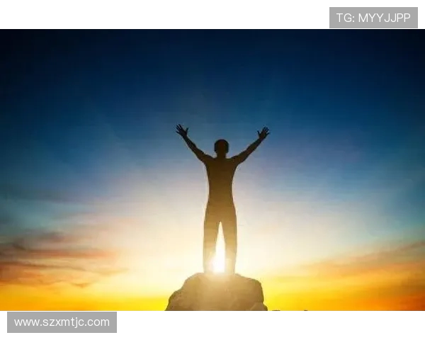 刘铮的奋斗历程与成就探索：从平凡到卓越的精彩人生之路